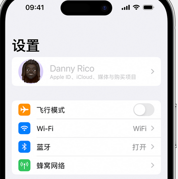 凤县appleID维修服务iPhone设置中Apple ID显示为灰色无法使用 