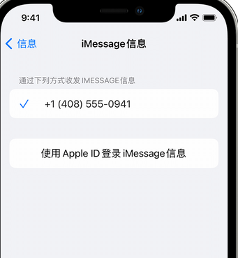 凤县apple维修iPhone上无法正常发送iMessage信息 