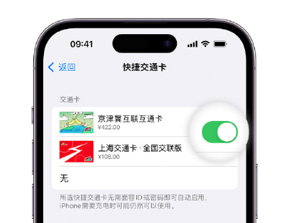 凤县apple维修点分享iPhone上更换Apple Pay快捷交通卡手绘卡面 