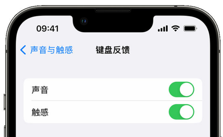 凤县苹果手机维修分享iPhone 14触感键盘使用方法 