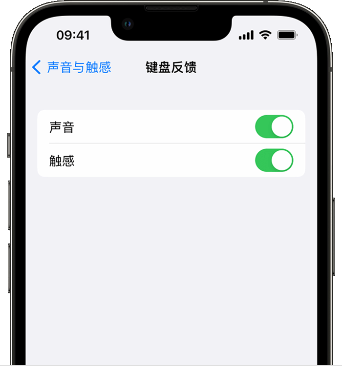 凤县苹果14维修店分享如何在 iPhone 14 机型中使用触感键盘 