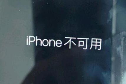 凤县苹果服务网点分享锁屏界面显示“iPhone 不可用”如何解决 