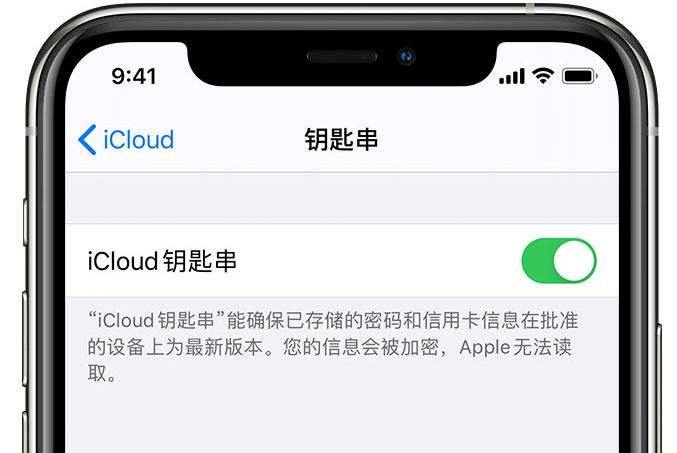 凤县苹果手机维修分享在 iPhone 上开启 iCloud 钥匙串之后会储存哪些信息 