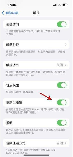 凤县苹果手机维修分享iPhone手机如何设置摇一摇删除文字 